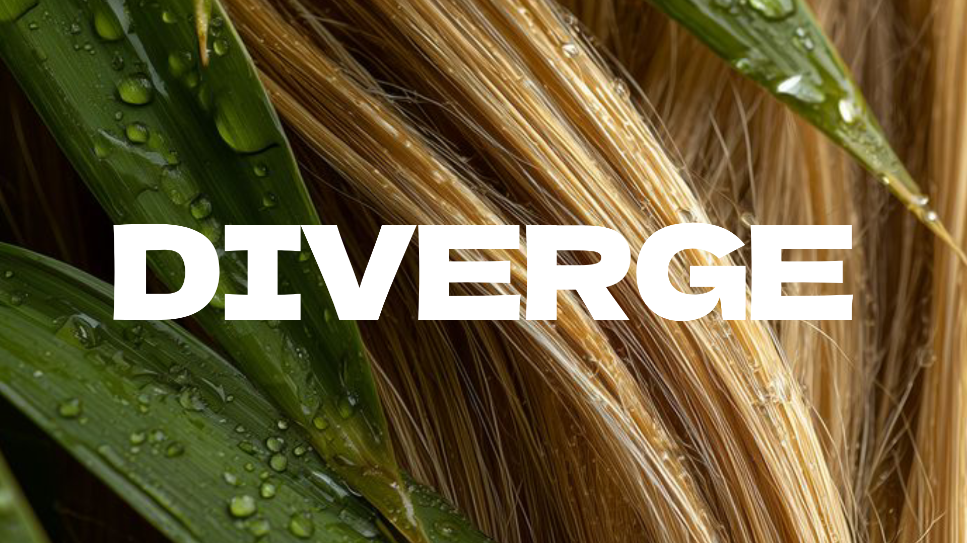 Diverge